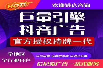 行业领先的SEM竞价广告投放案例